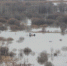 Вода в Клязьме прибывает - Газета Маяк