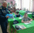 Подготовка к весеннему половодью - Поселок Мстера