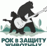 На помощь бездомным животным приходит РОК - Вязники.РФ