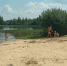 Безопасность на воде, окончание купального сезона - Поселок Мстера