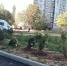 Дворы Вязниковского района становятся краше и комфортнее - Газета Маяк